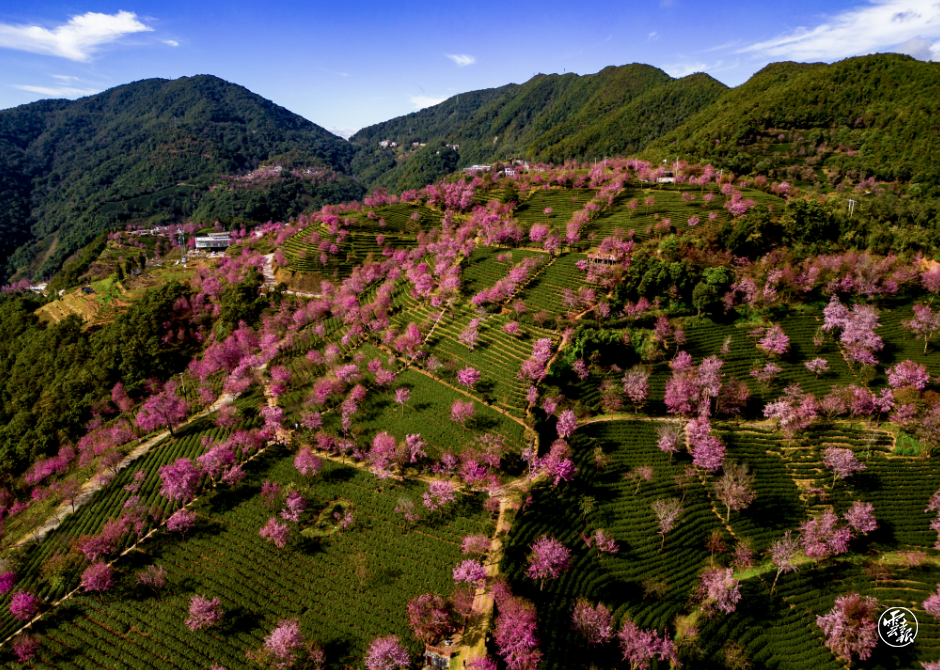 云南省文化和旅游厅