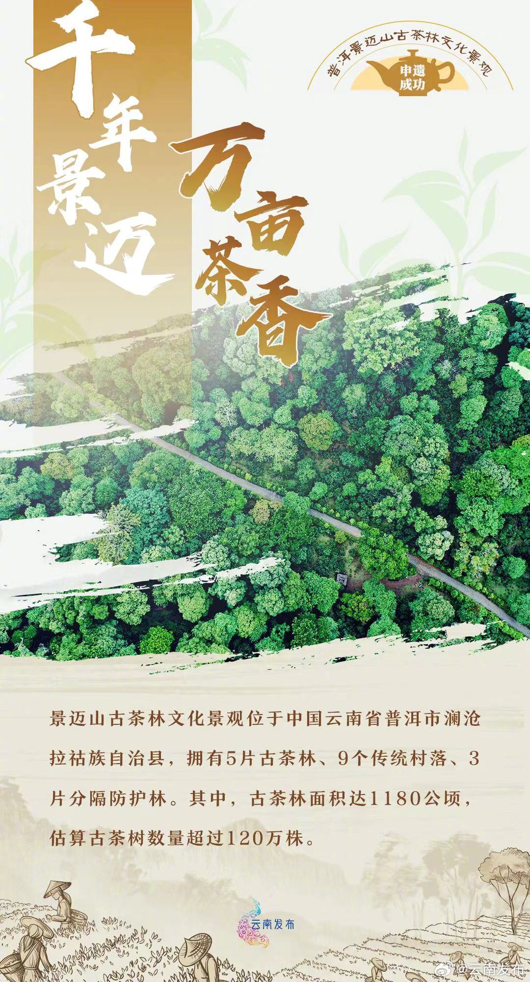 云南发布