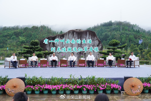 保山新闻网