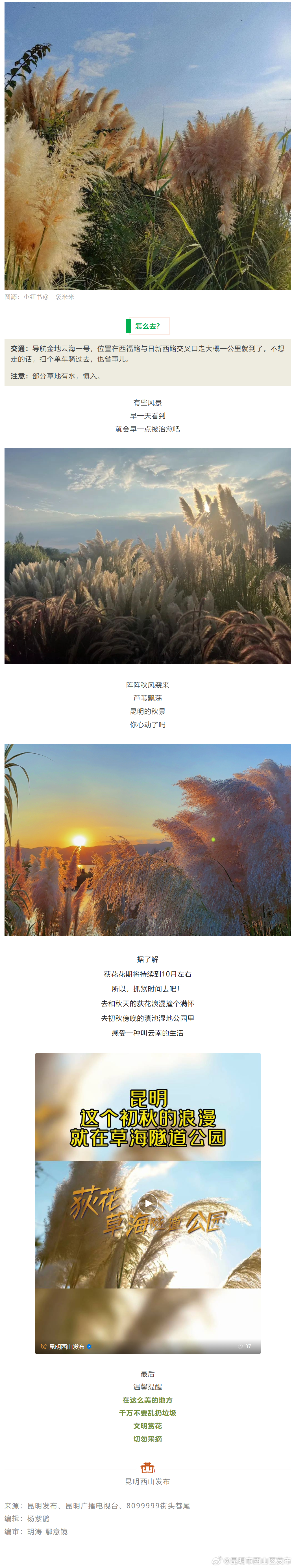 昆明市西山区发布