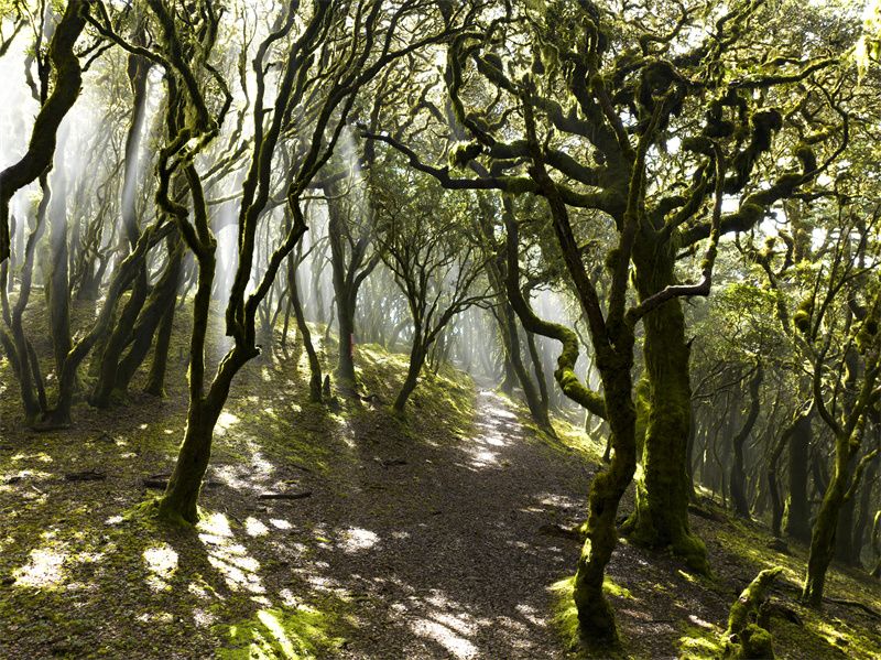 云南省文化和旅游厅