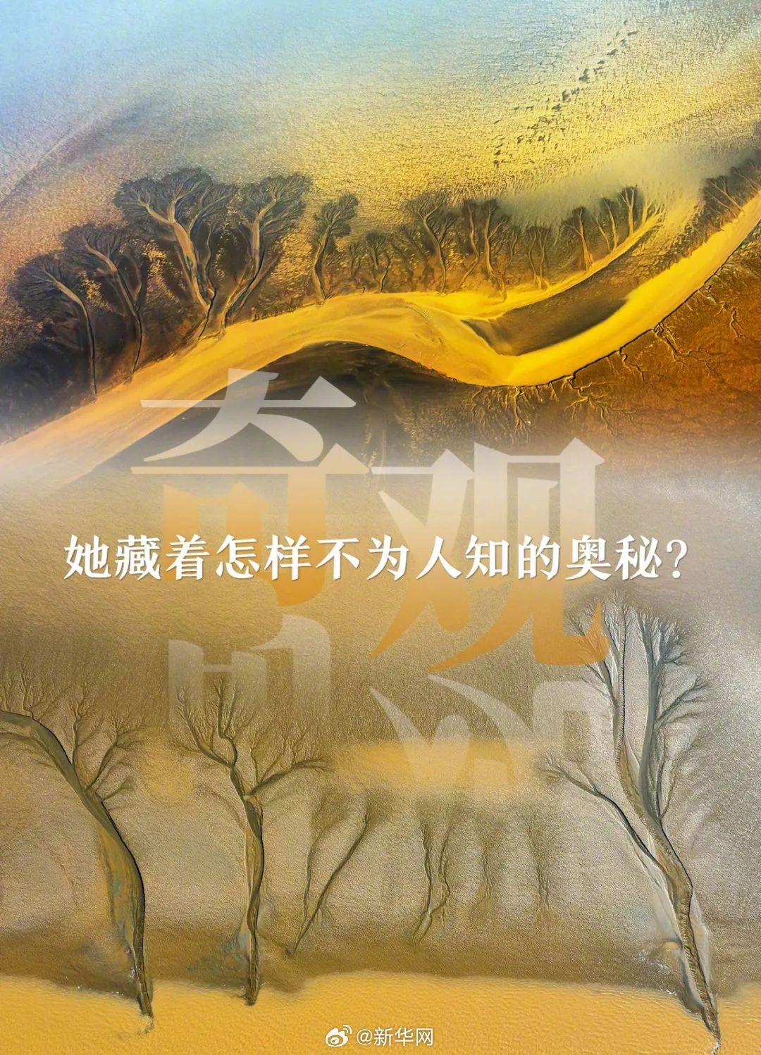 新华网