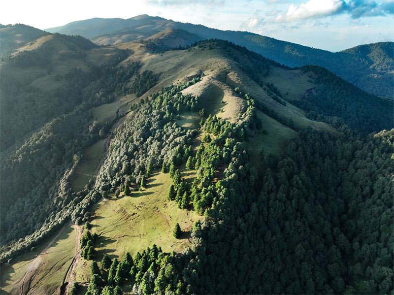 云南省文化和旅游厅