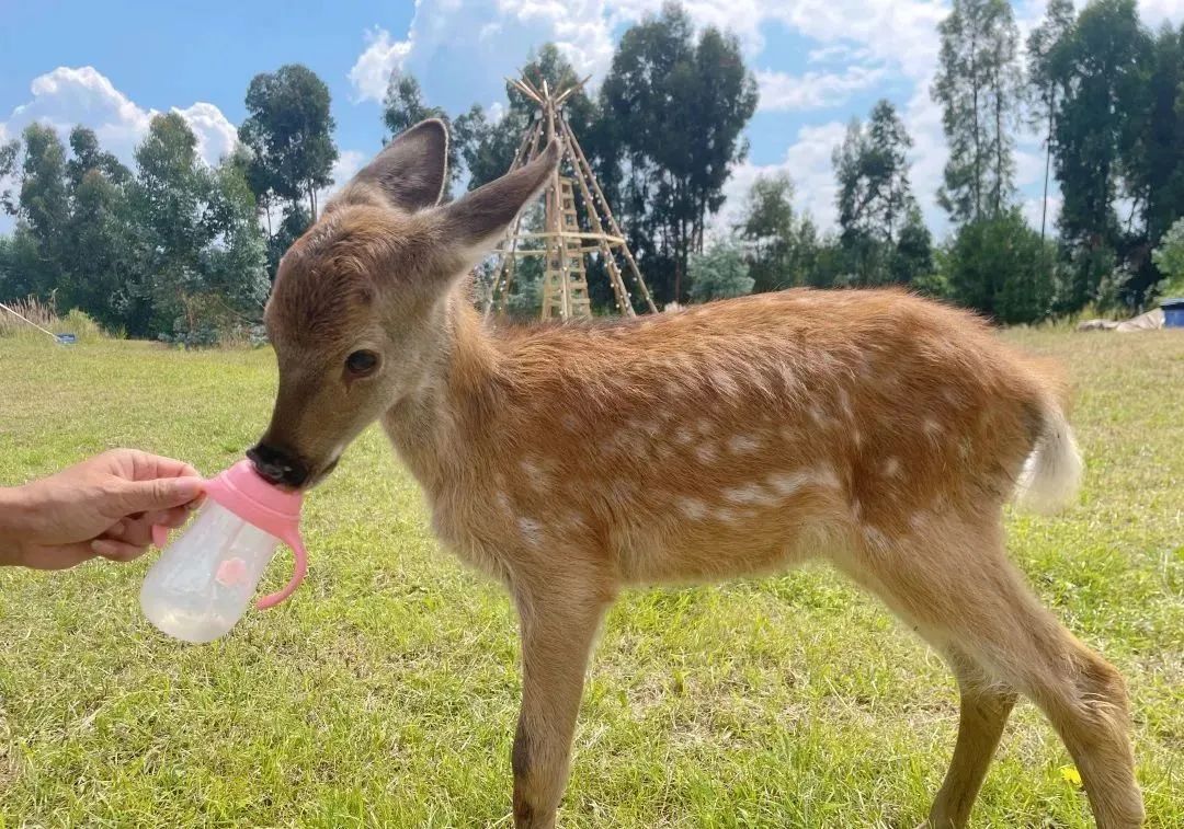 昆明文旅
