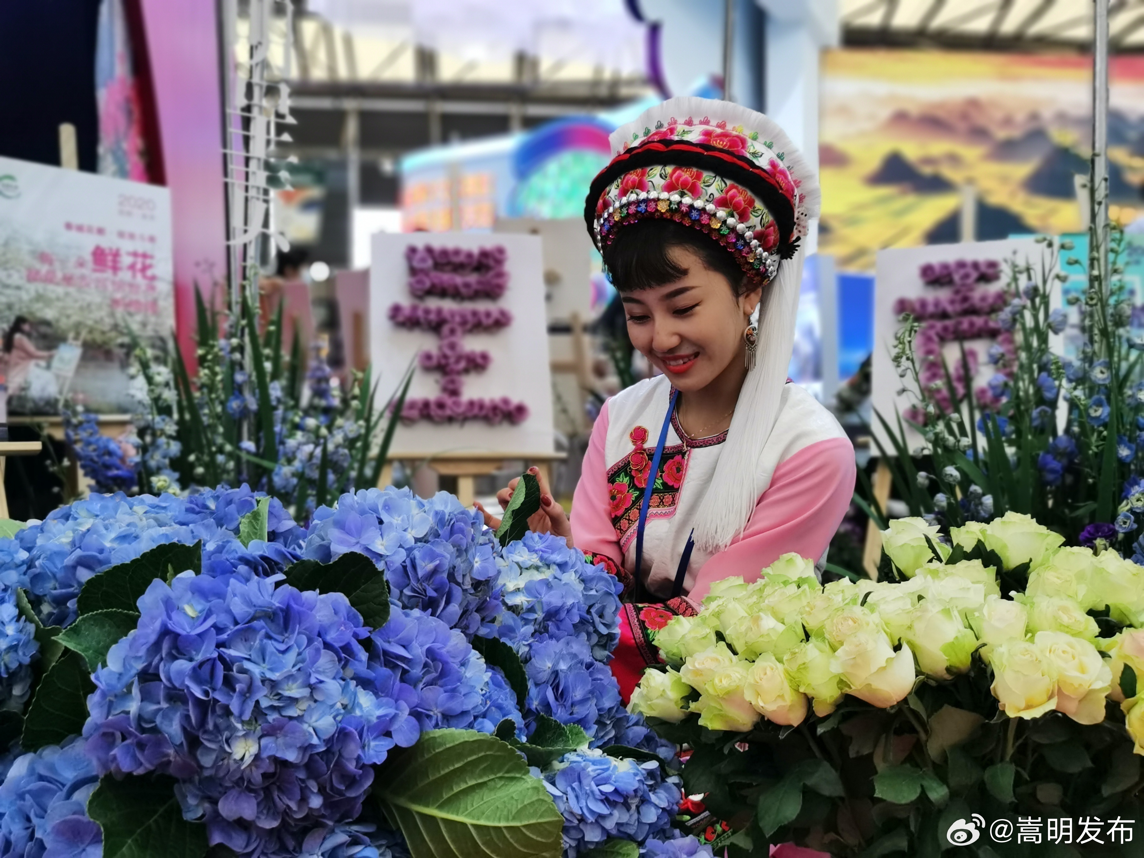 观云台·昆明|花枝不断四时春