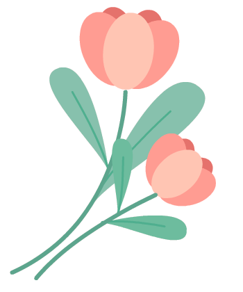 西双版纳望天树景区