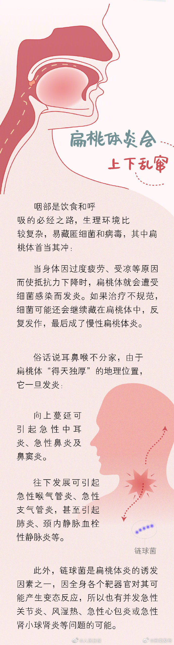 云南发布