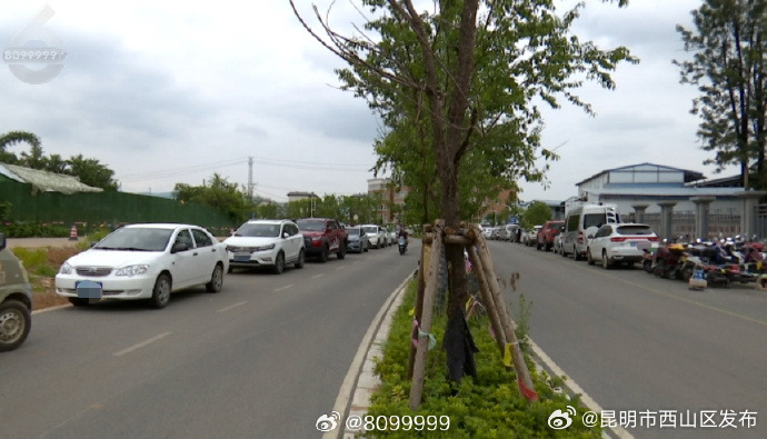 昆明市西山区发布