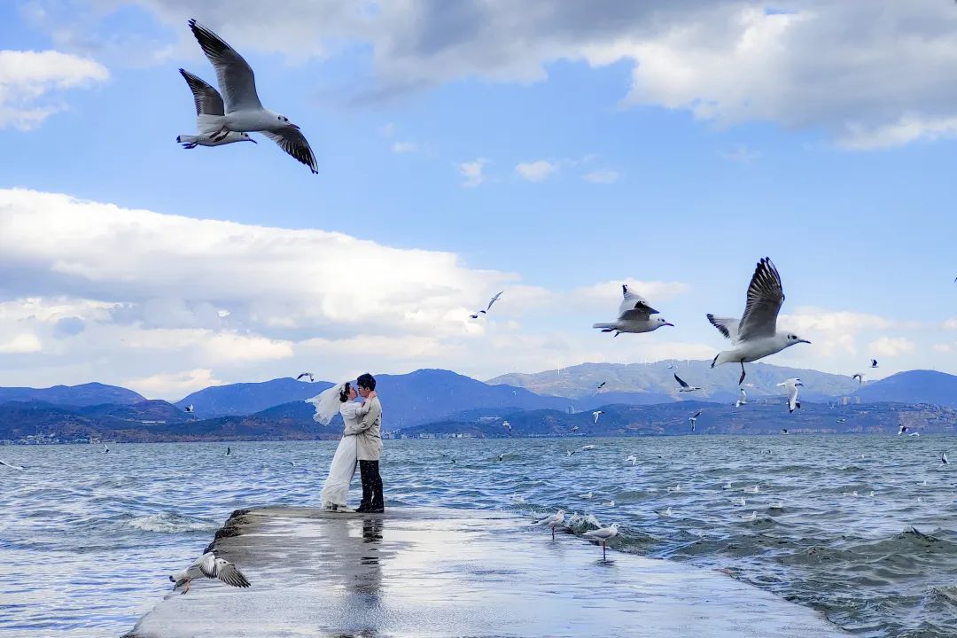 云南省文化和旅游厅