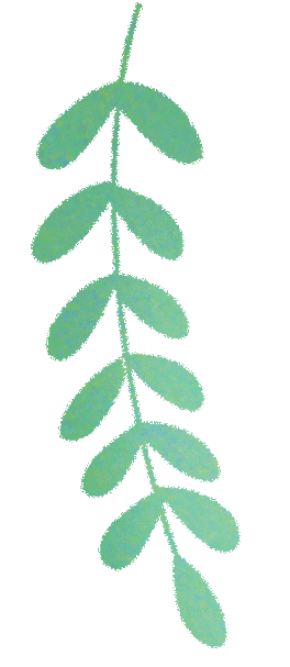 昆明市西山区图书馆