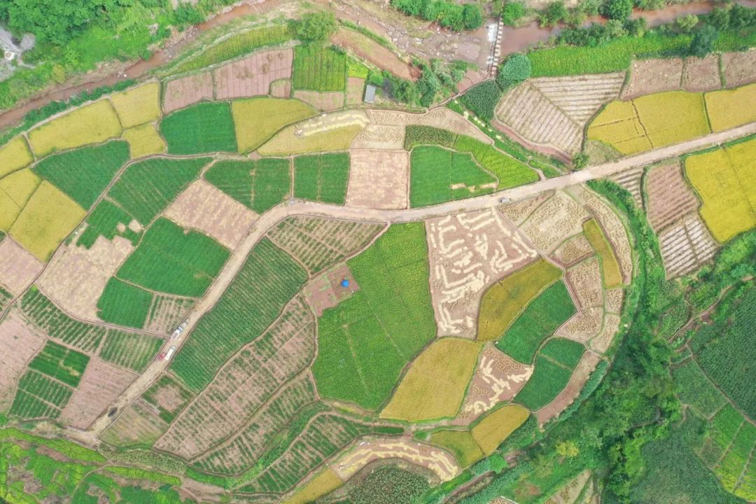 晋宁诗意的栖居地