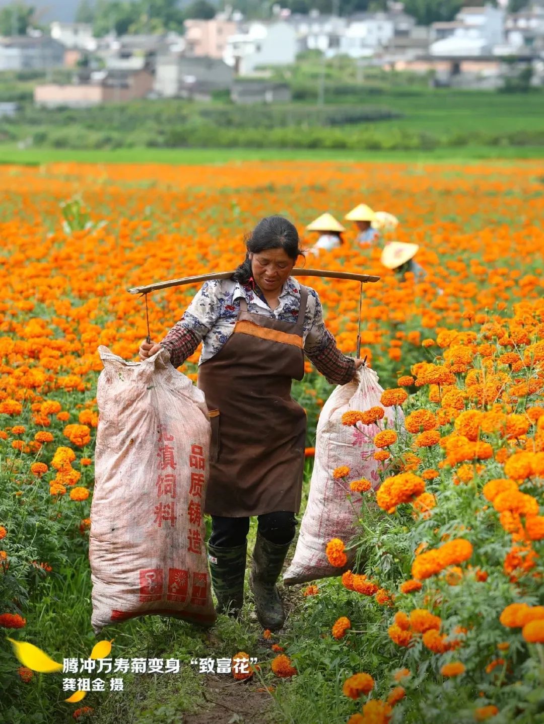 云南省文化和旅游厅