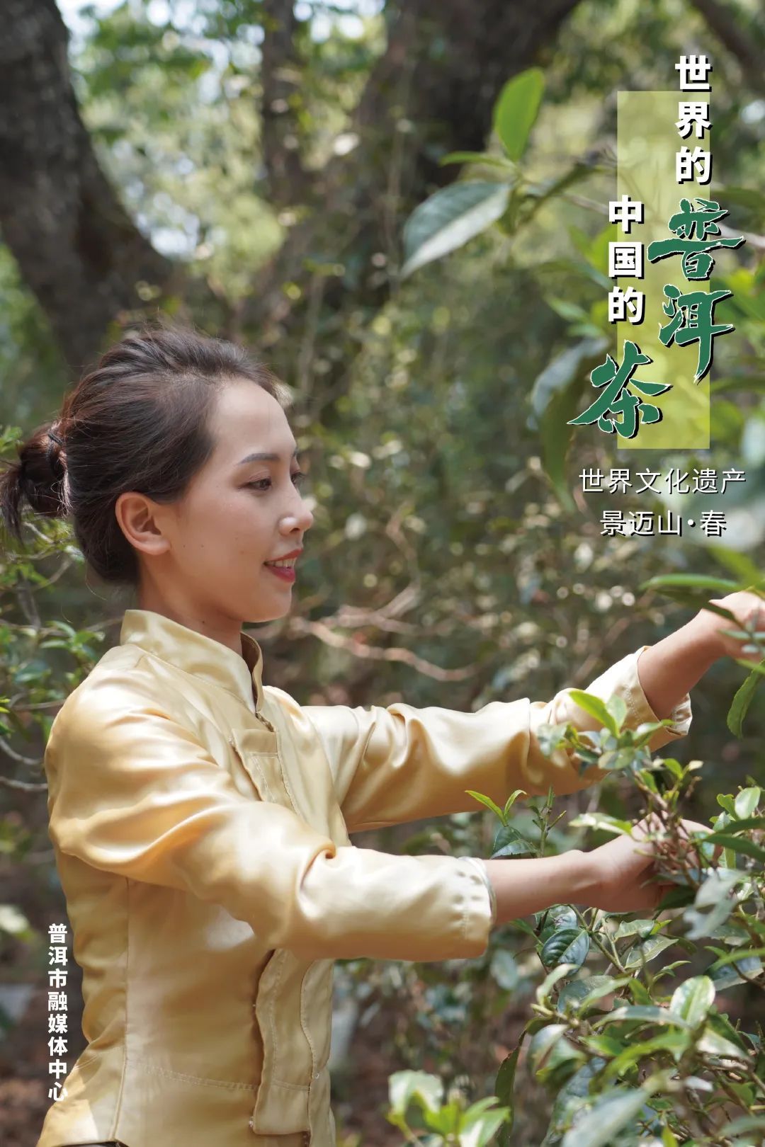 云南网