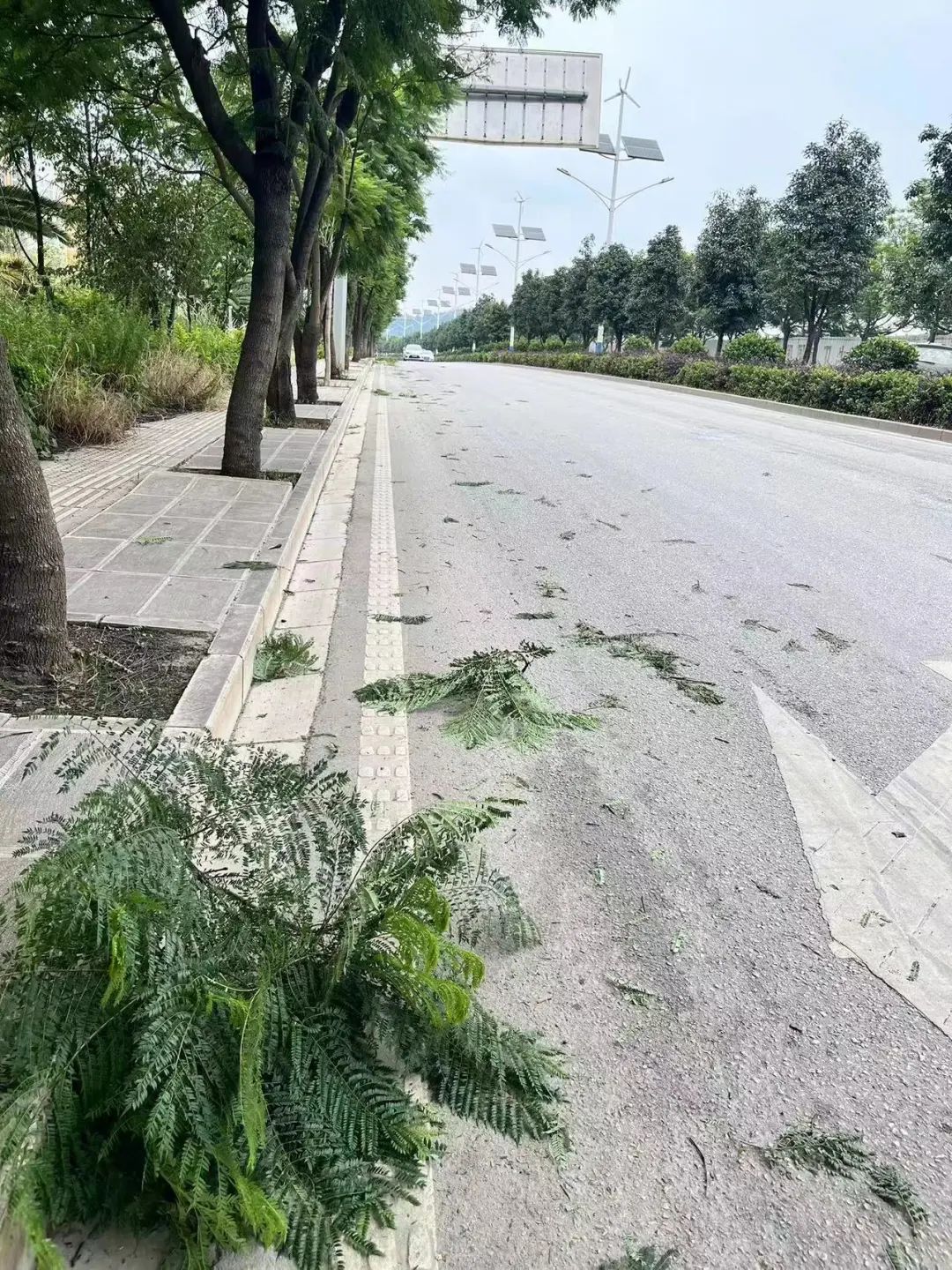 晋宁诗意的栖居地