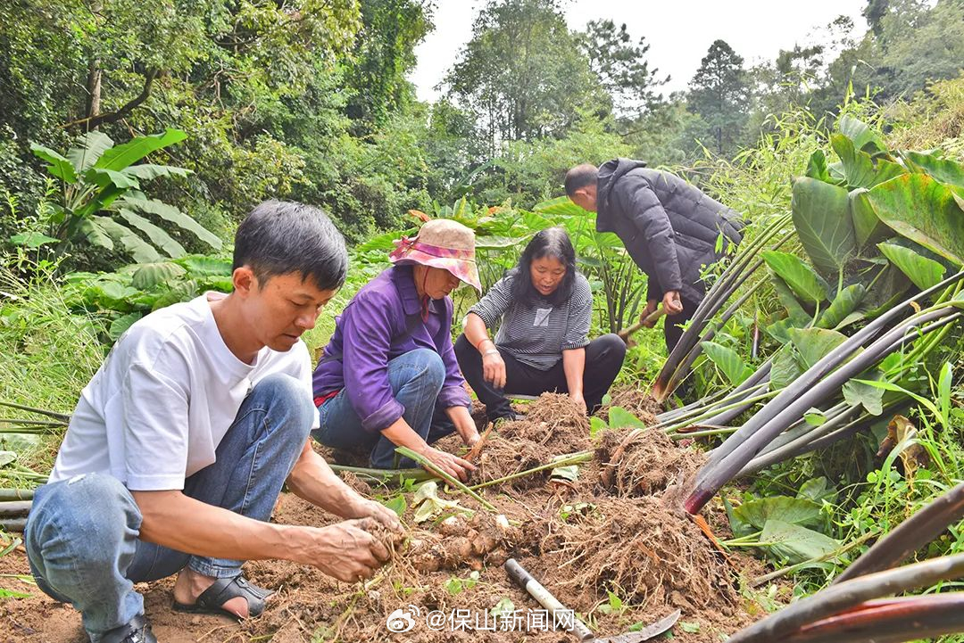 保山新闻网