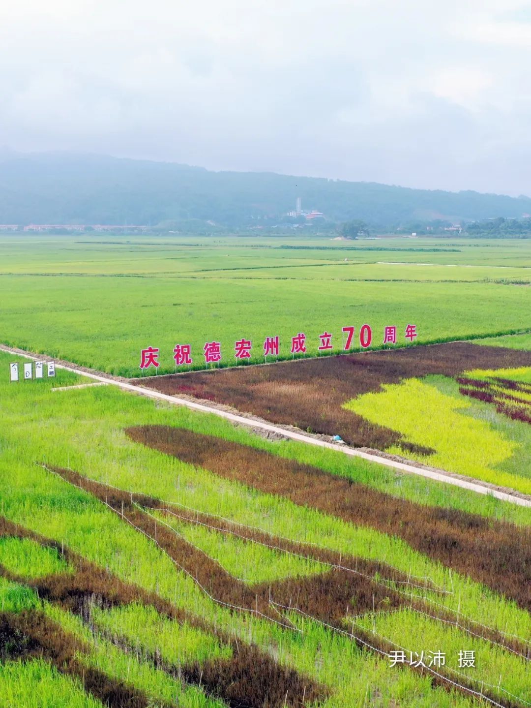 云南省文化和旅游厅