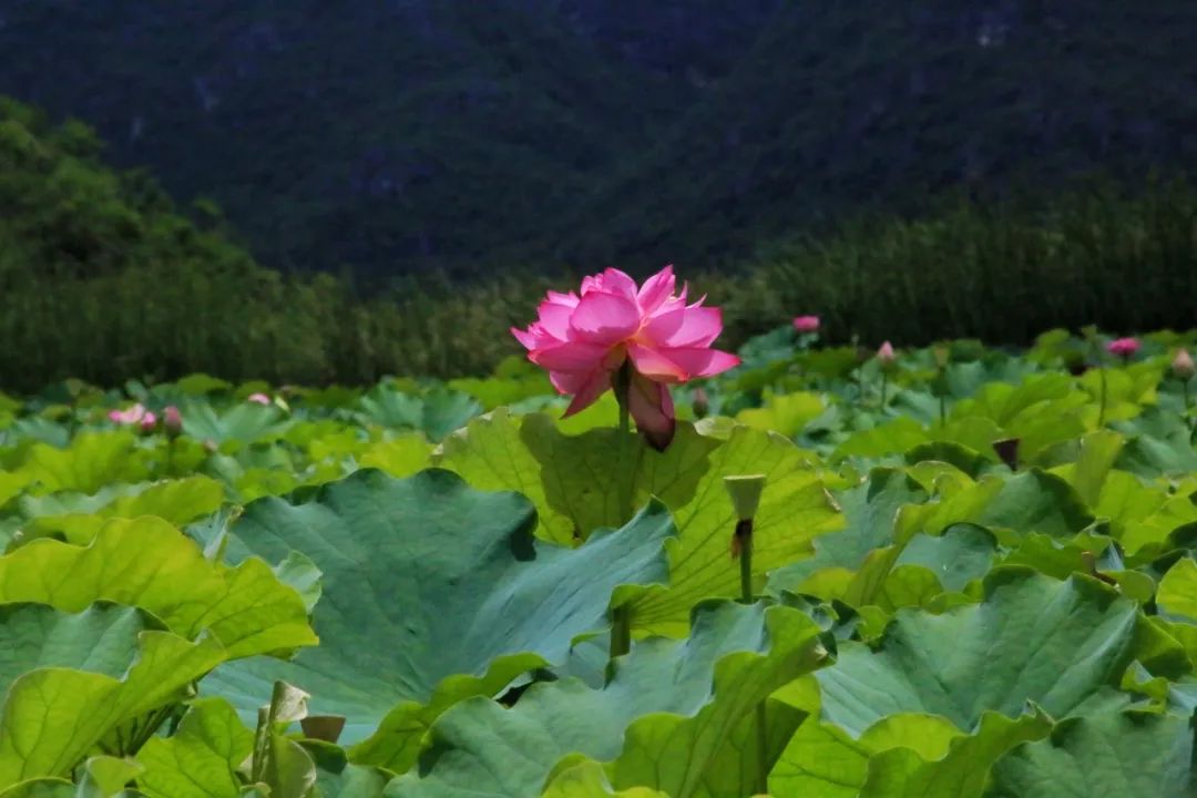 昆明铁路