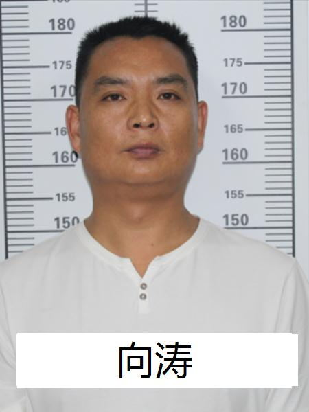 春城晚报