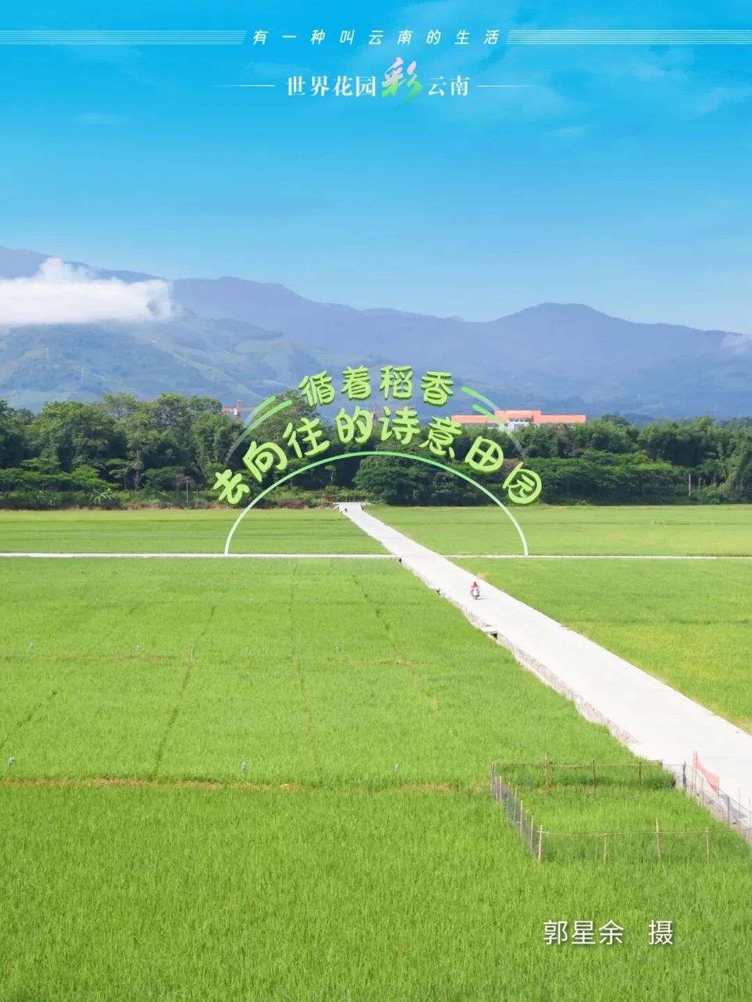 云南省文化和旅游厅