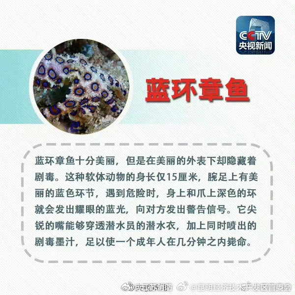 昆明经济技术开发区管委会