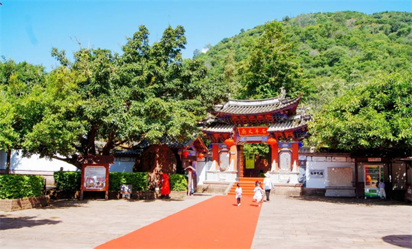 云南省文化和旅游厅