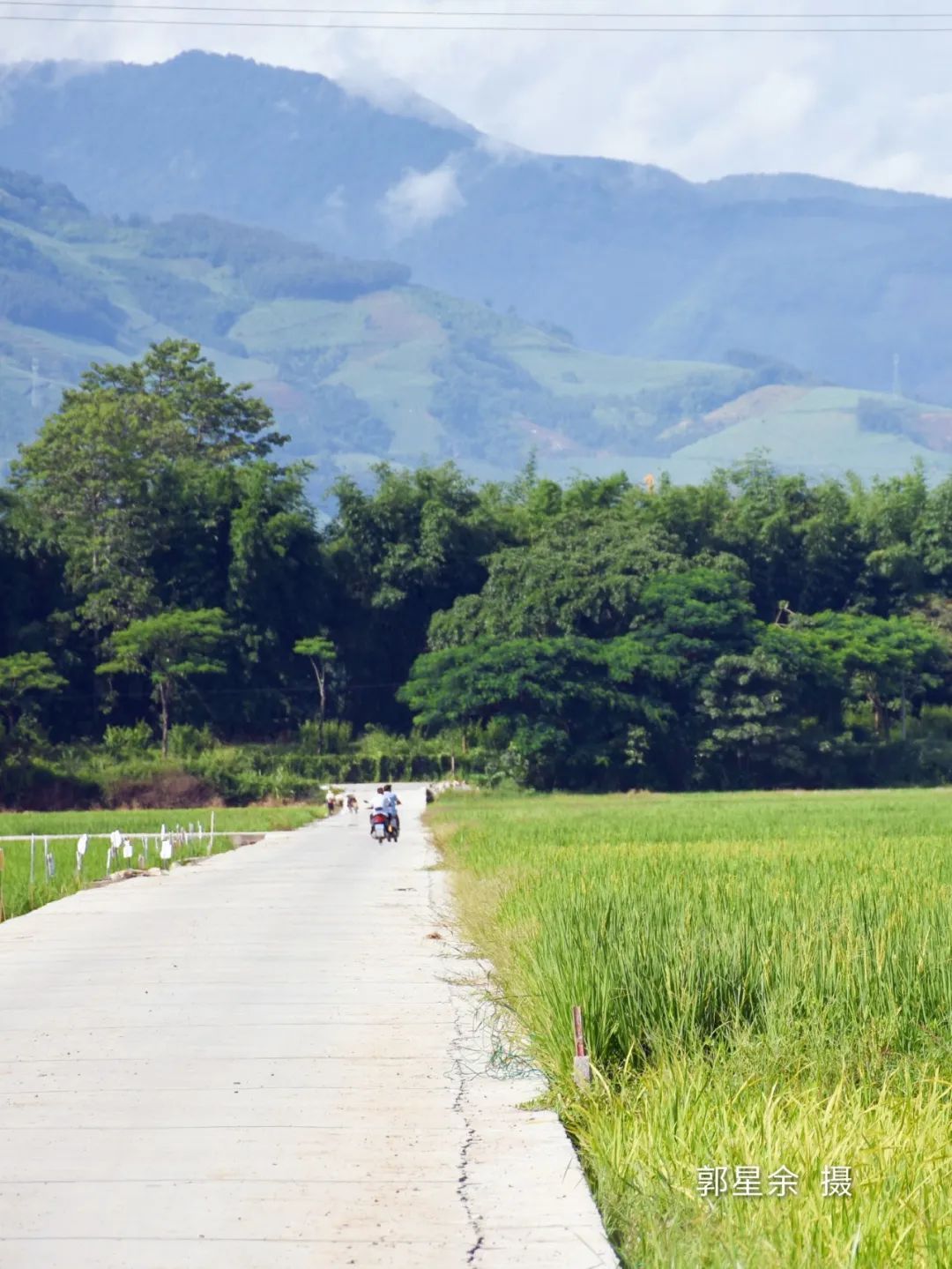 云南省文化和旅游厅