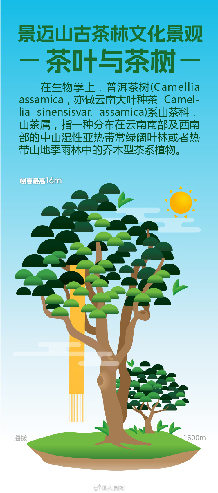 人民网