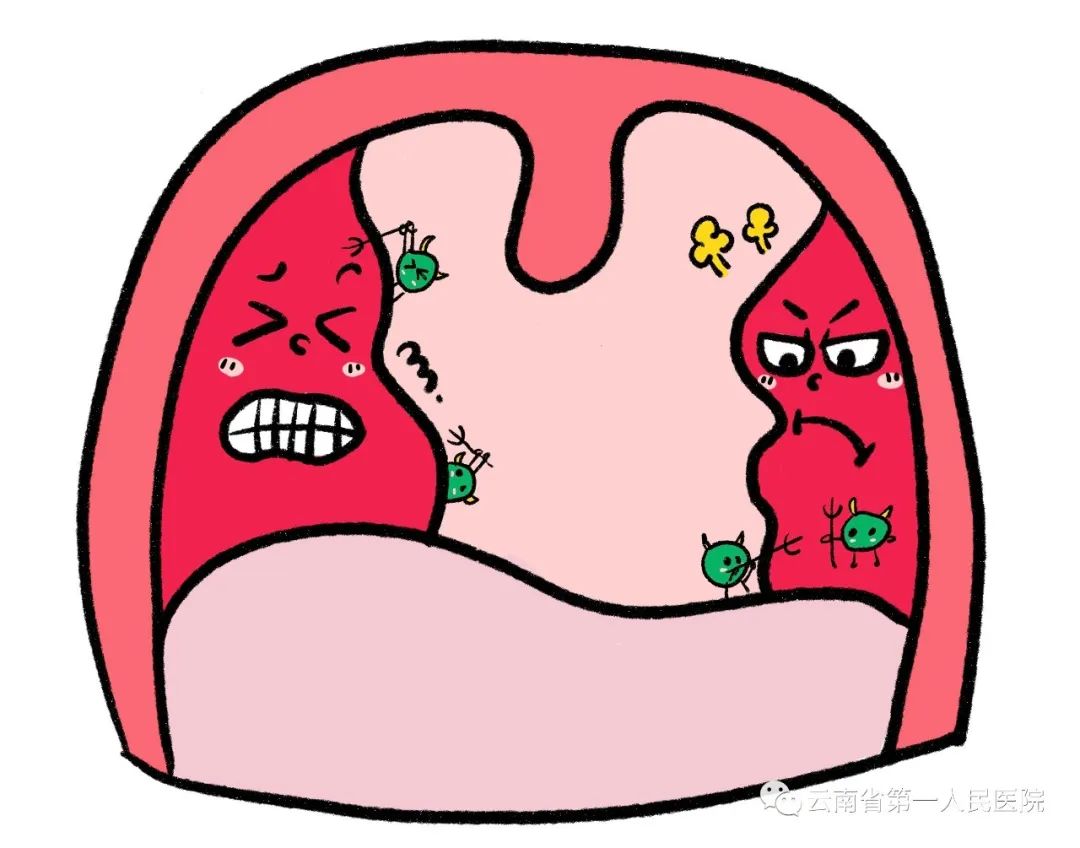 云南省第一人民医院