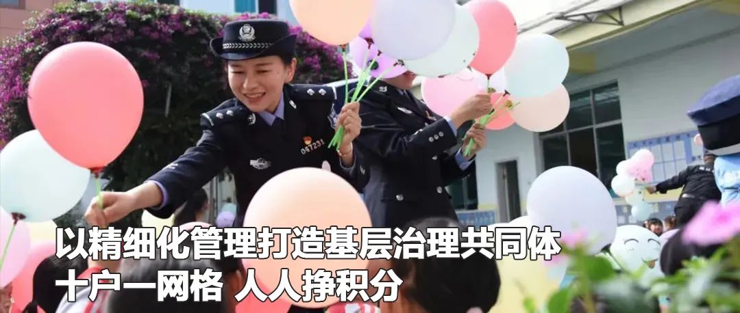 云南政法