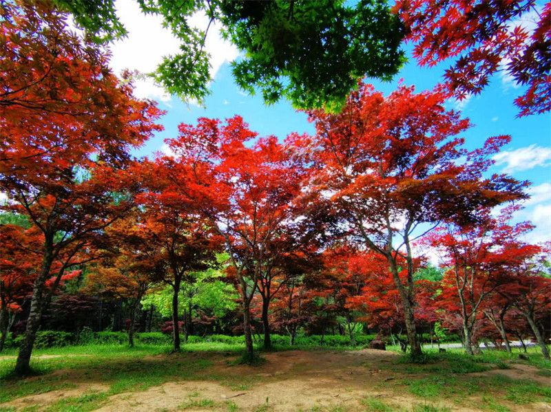 云南省文化和旅游厅