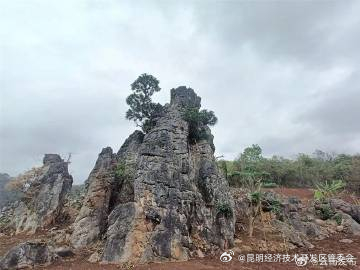 昆明经济技术开发区管委会