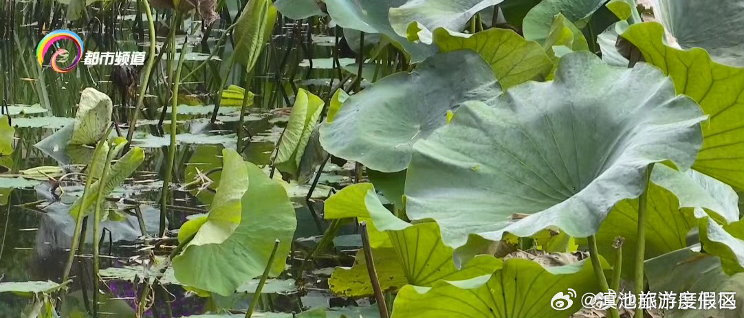 滇池旅游度假区