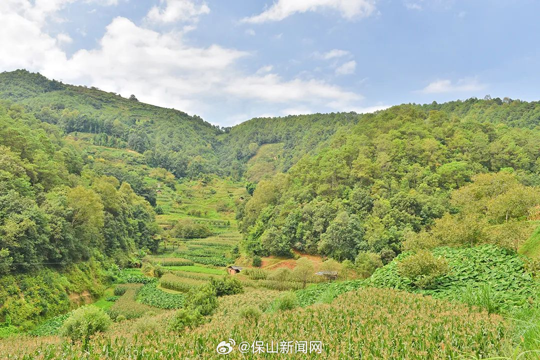 保山新闻网
