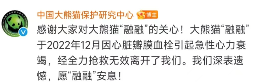 掌上春城微信