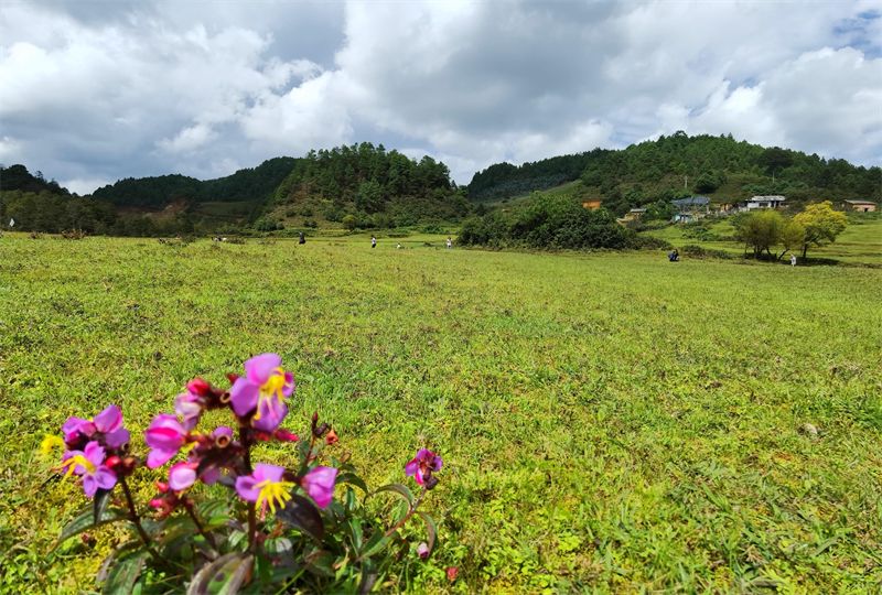 云南省文化和旅游厅