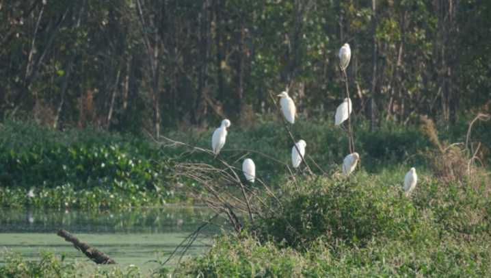 晋宁诗意的栖居地