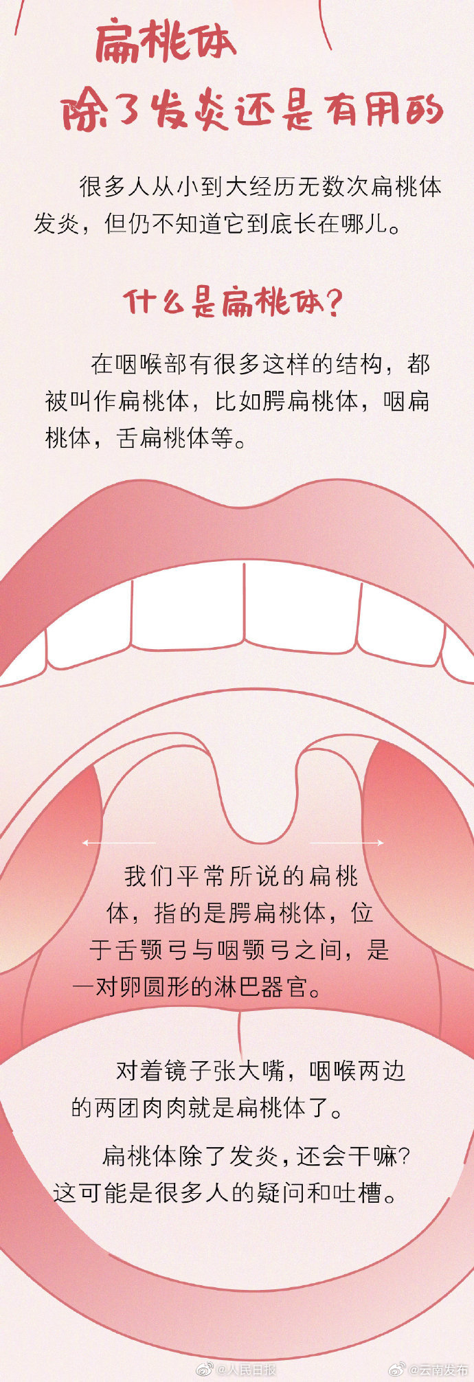 云南发布