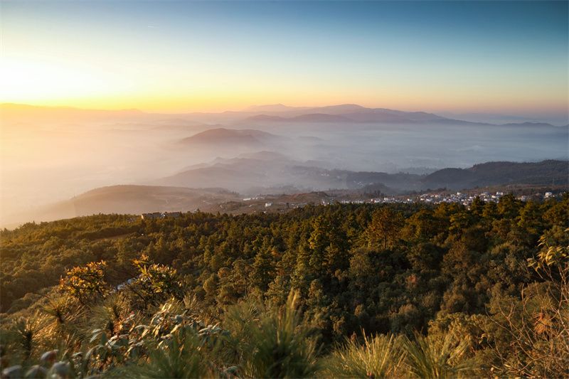 云南省文化和旅游厅
