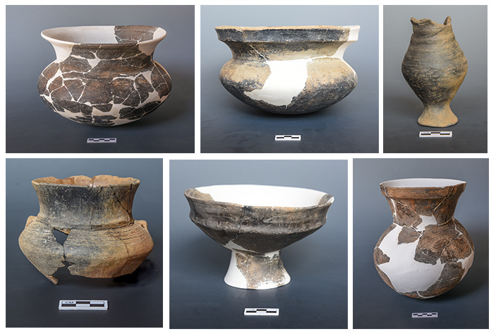 云南省文化和旅游厅