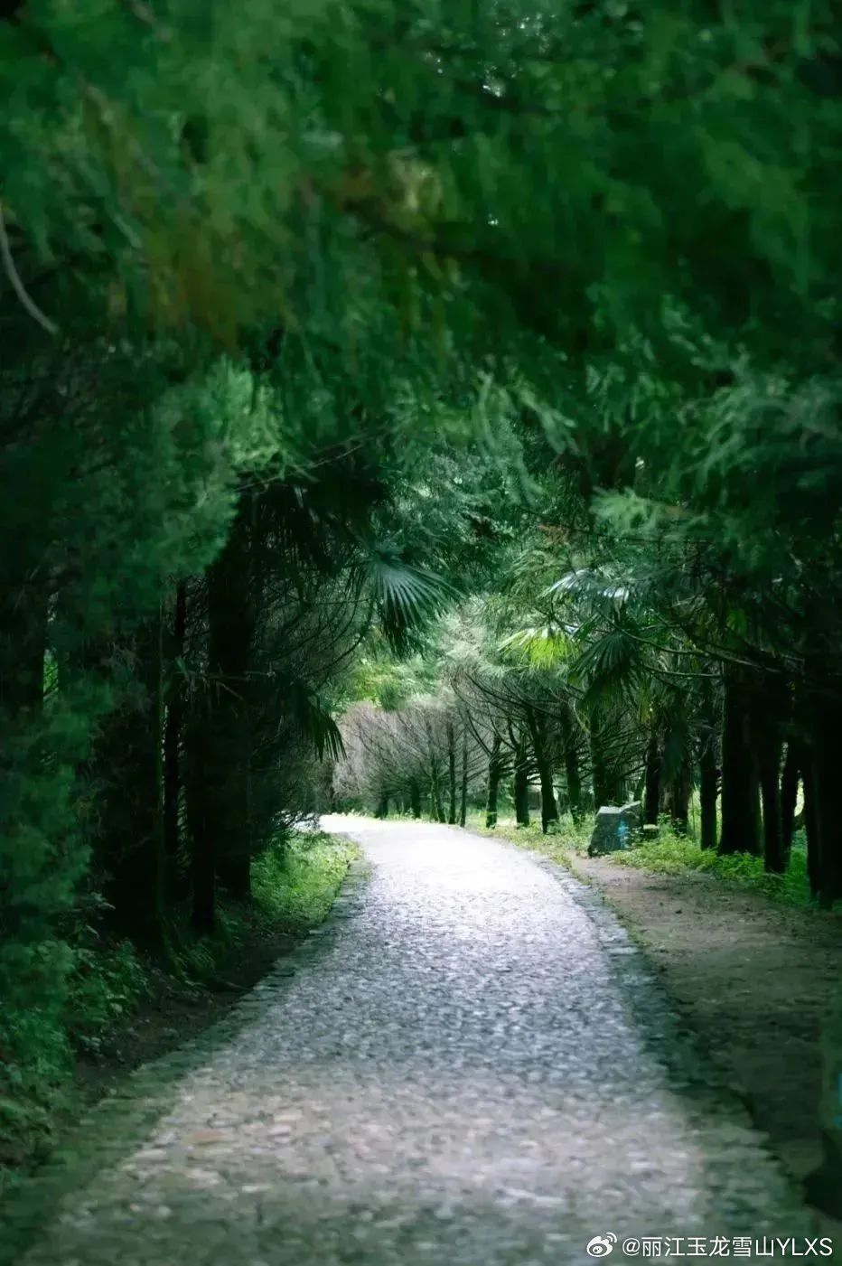 丽江玉龙雪山YLXS