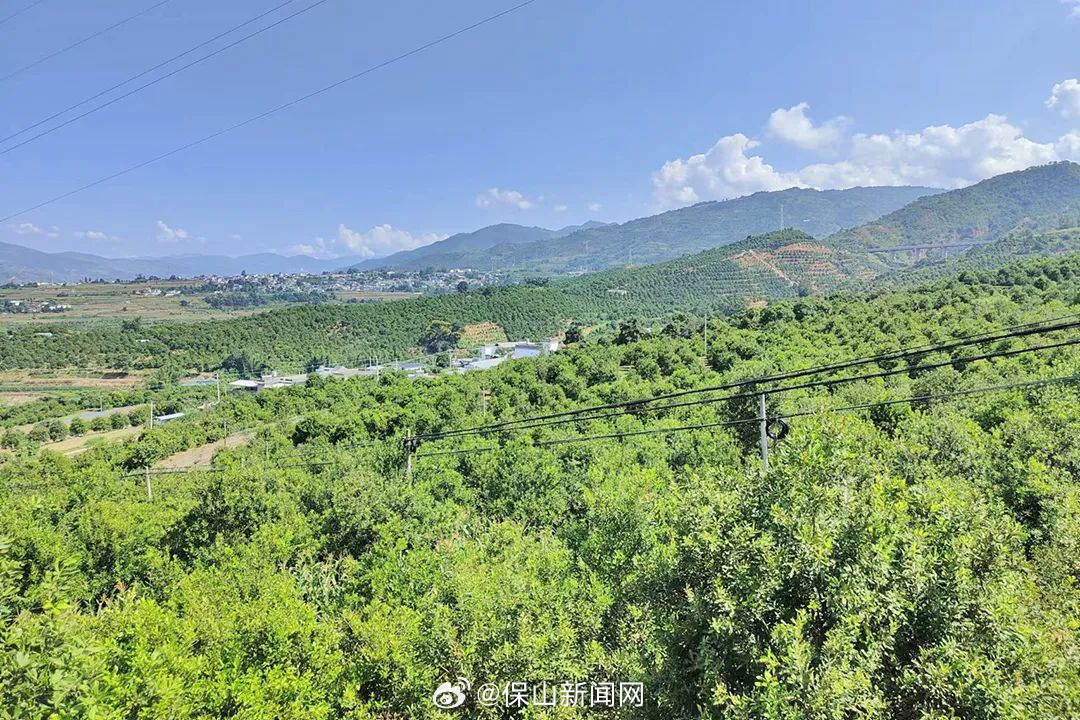 保山新闻网