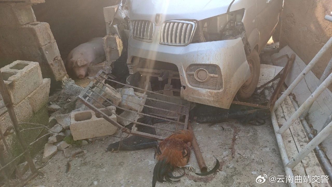 云南曲靖交警