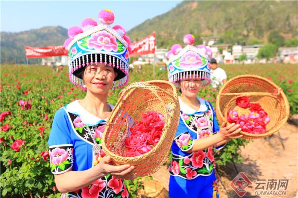 云南省文化和旅游厅