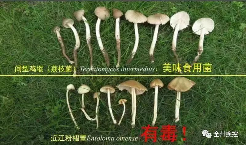 昆明信息港/cnkmxxg