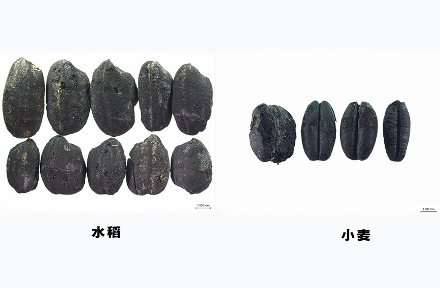 云南省文化和旅游厅