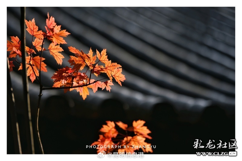 昆明信息港微博