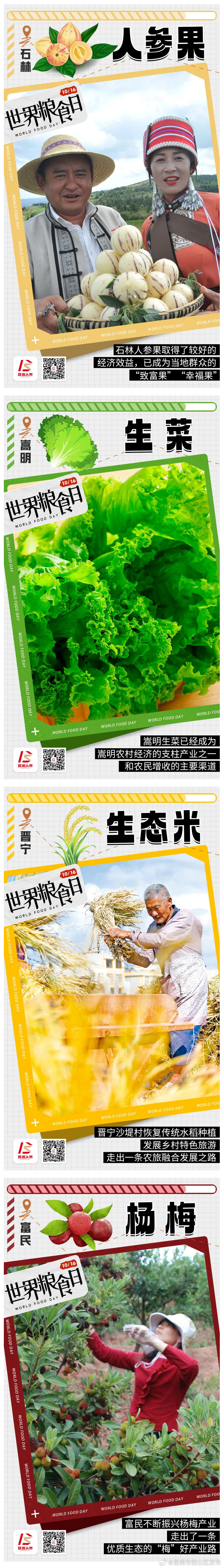 昆明市西山区发布