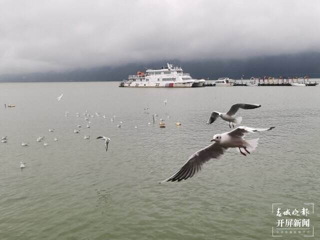 晋宁诗意的栖居地