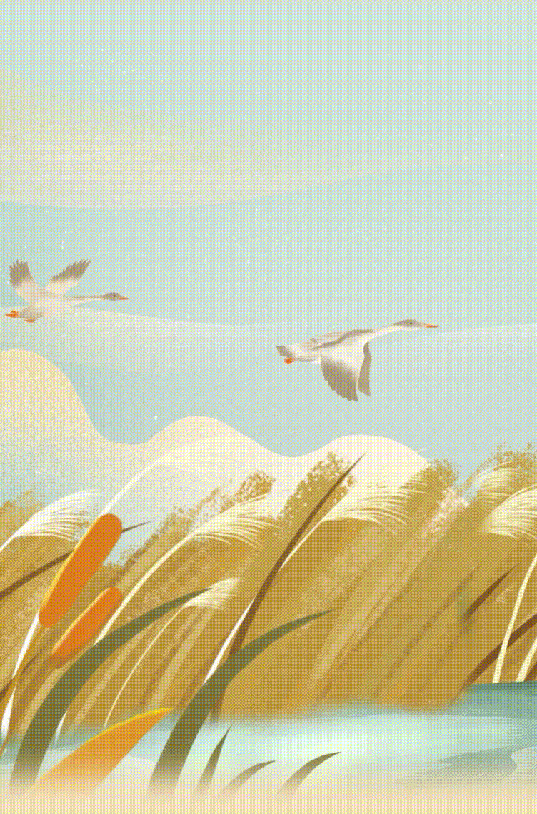 云南省人民政府网