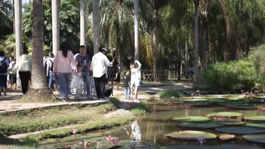 西双版纳先锋